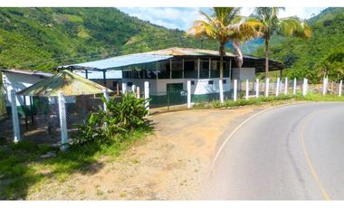 Se Vende Finca Productiva En Génova - Quindío