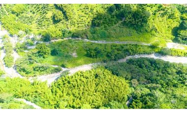 Se Vende Finca Productiva En Génova - Quindío