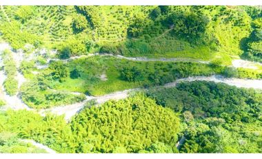 Se Vende Finca Productiva En Génova - Quindío