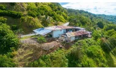 Se Vende Finca Productiva En Génova - Quindío