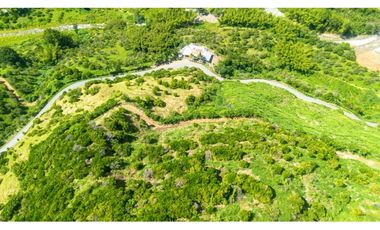 Se Vende Finca Productiva En Génova - Quindío