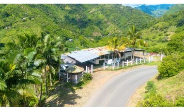 Se Vende Finca Productiva En Génova - Quindío