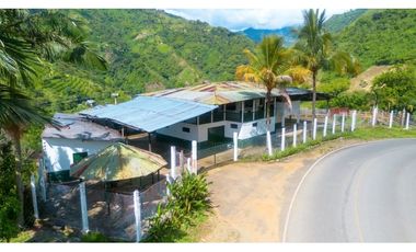 Se Vende Finca Productiva En Génova - Quindío