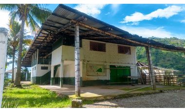 Se Vende Finca Productiva En Génova - Quindío
