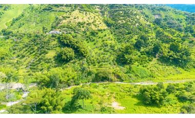 Se Vende Finca Productiva En Génova - Quindío