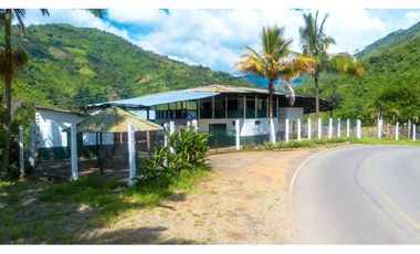 Se Vende Finca Productiva En Génova - Quindío