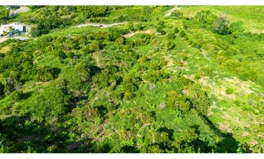 Se Vende Finca Productiva En Génova - Quindío