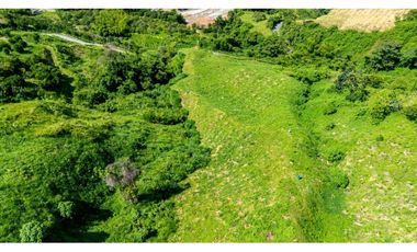 Se Vende Finca Productiva En Génova - Quindío