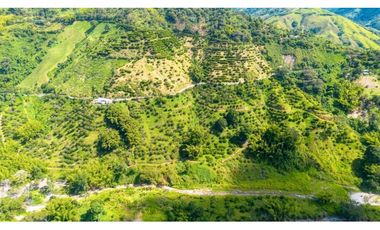 Se Vende Finca Productiva En Génova - Quindío