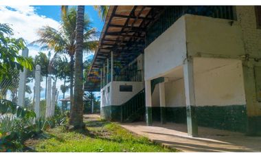 Se Vende Finca Productiva En Génova - Quindío