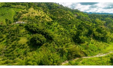 Se Vende Finca Productiva En Génova - Quindío