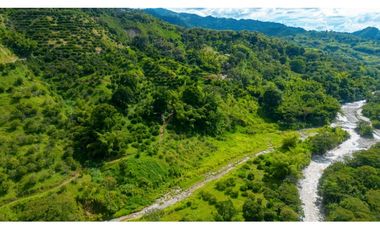 Se Vende Finca Productiva En Génova - Quindío