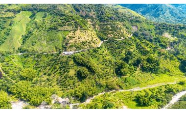 Se Vende Finca Productiva En Génova - Quindío