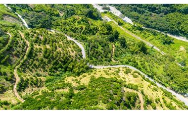Se Vende Finca Productiva En Génova - Quindío