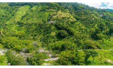 Se Vende Finca Productiva En Génova - Quindío
