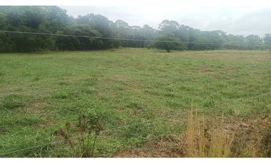 FINCA GANADERA EN VENTA