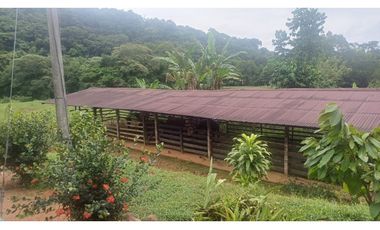 FINCA GANADERA EN VENTA