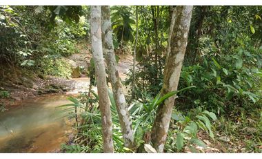 FINCA GANADERA EN VENTA