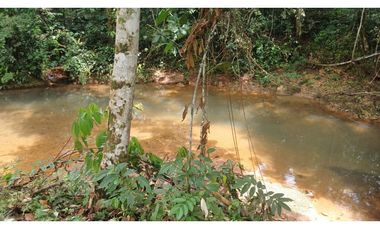 FINCA GANADERA EN VENTA