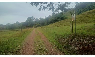 FINCA GANADERA EN VENTA