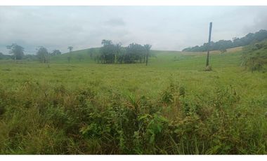 FINCA GANADERA EN VENTA