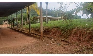 FINCA GANADERA EN VENTA