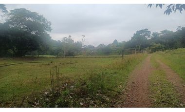 FINCA GANADERA EN VENTA