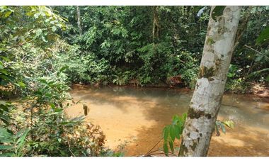 FINCA GANADERA EN VENTA
