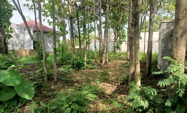 JUAL MURAH  TANAH  D  JOMBANG BAGUS UNTUK SEMUA USAHA .