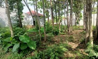 JUAL MURAH  TANAH  D  JOMBANG BAGUS UNTUK SEMUA USAHA .