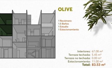 DEPARTAMENTO EN PREVENTA EN GREEN TEMOZON NORTE, MERIDA, YUCATAN.