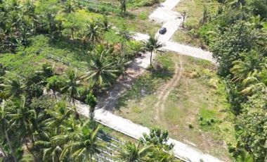 Tanah Siap Bangun Dekat Kampus UAD Wates 90jutaan per kavling