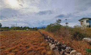 VENDO LOTE DE 1288 M2 CON VISTA AL CAÑON LAS TRANCAS