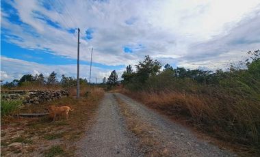 VENDO LOTE DE 1288 M2 CON VISTA AL CAÑON LAS TRANCAS