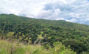 VENDO LOTE DE 1288 M2 CON VISTA AL CAÑON LAS TRANCAS