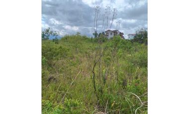 VENDO LOTE DE 1288 M2 CON VISTA AL CAÑON LAS TRANCAS