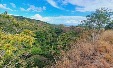 VENDO LOTE DE 1288 M2 CON VISTA AL CAÑON LAS TRANCAS