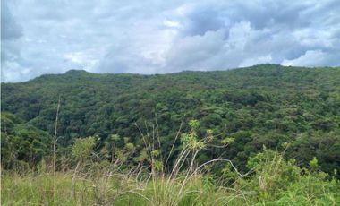 VENDO LOTE DE 1288 M2 CON VISTA AL CAÑON LAS TRANCAS