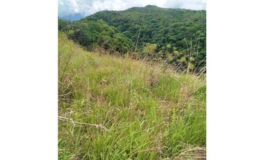VENDO LOTE DE 1288 M2 CON VISTA AL CAÑON LAS TRANCAS