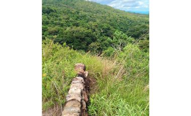 VENDO LOTE DE 1288 M2 CON VISTA AL CAÑON LAS TRANCAS