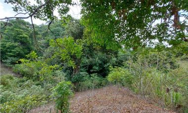 VENDO 1.4HECTAREAS CON AGUA VIVA PALMIRA CENTRO