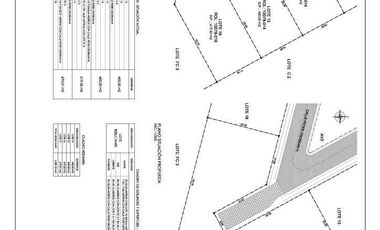 Parcela en venta en SAN PEDRO DE LA PAZ