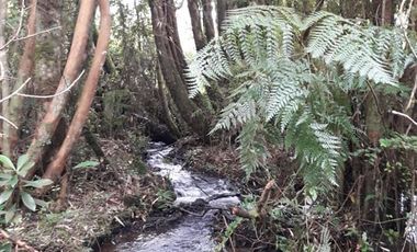 Parcela en Venta en Llanquihue