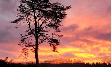Parcela en Venta en Llanquihue