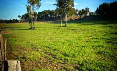 Parcela en Venta en Llanquihue