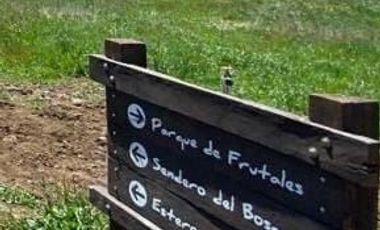 Parcela en Venta en Llanquihue