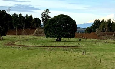 Parcela en Venta en Llanquihue