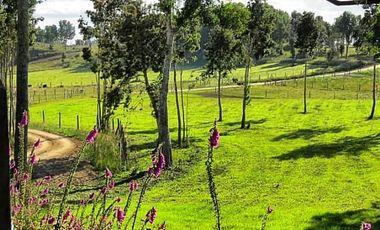 Parcela en Venta en Llanquihue