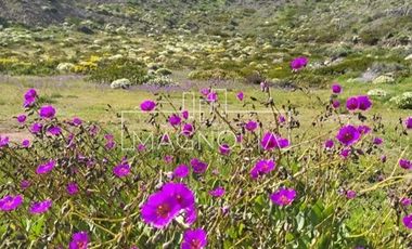 Casa en Venta en Punta Colorada/ Parque Eolico de Monte Redondo