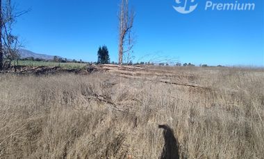 Agrícola en Venta en Ovalle